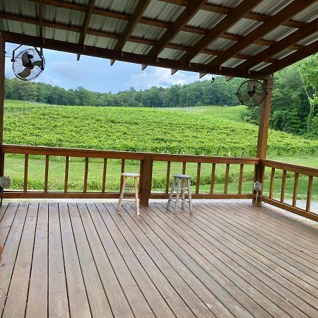 Eagle Mountain River Retreat Ellijay Eksteriør billede