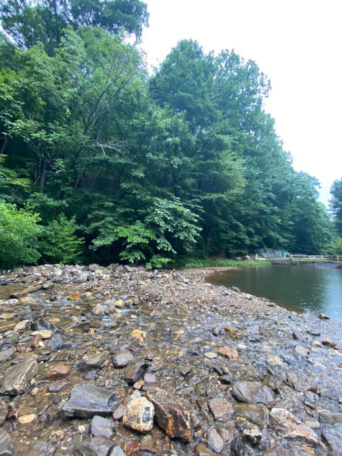 Eagle Mountain River Retreat Ellijay Eksteriør billede